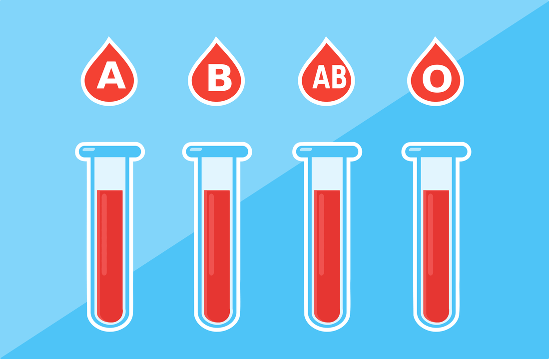 血型有A、B、AB、O 4种